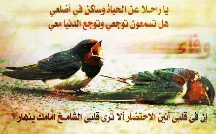 sobhan allah